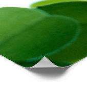 緑のクローバーでDesiderata "Desired Things" ポスター (角)