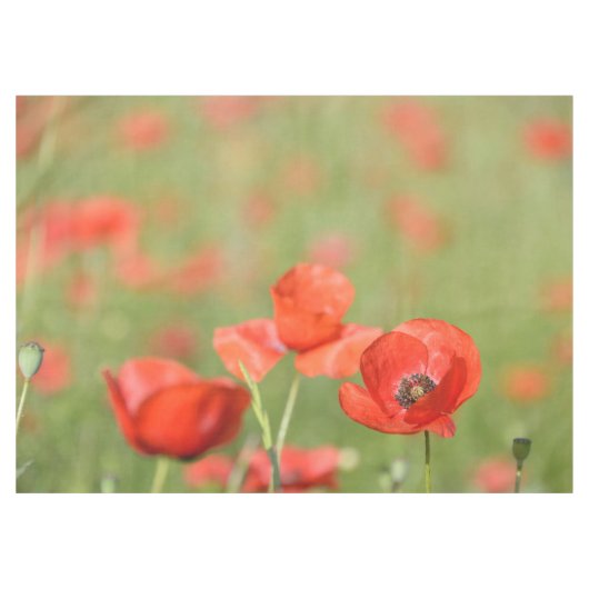 緑のケシの鮮やかで赤いケシは守備につきます テーブルクロス (正面(横))