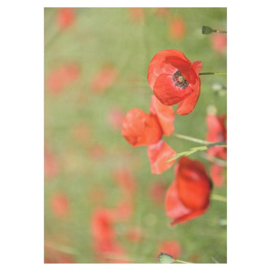 緑のケシの鮮やかで赤いケシは守備につきます テーブルクロス (正面)