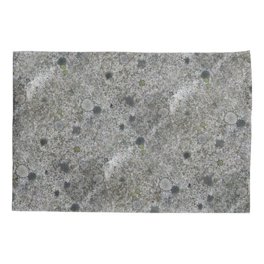 緑のコケが付いている地質学の石の灰色の花こう岩 枕カバー (裏面)