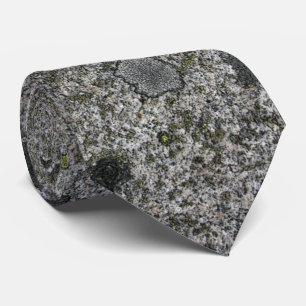 緑のコケが付いている花こう岩の灰色の石 ネクタイ