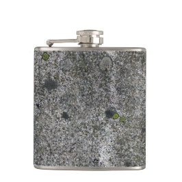 緑のコケとの花こう岩の灰色 フラスク