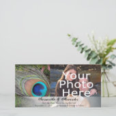 緑のコケと豊かな孔雀の羽 セーブザデート (スタンド正面)