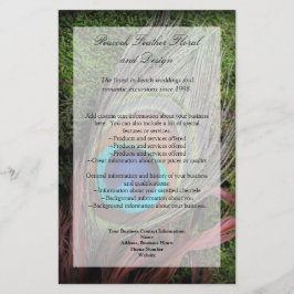 緑のコケと豊かな孔雀の羽 チラシ