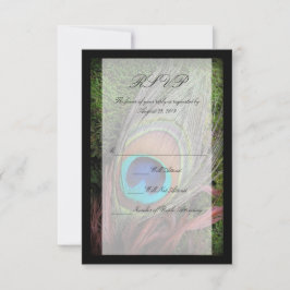 緑のコケと豊かな孔雀の羽 出欠カード