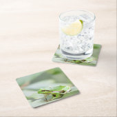 緑のコースターのヨーロッパのアマガエル スクエアペーパーコースター (インサイチュ)