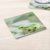 緑のコースターのヨーロッパのアマガエル スクエアペーパーコースター (アングル)