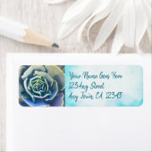 緑のサボテンの多肉性の写真アドレススタイリッシュ(シック) ラベル (インサイチュ)