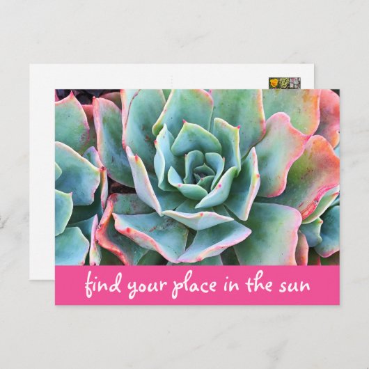 緑のサボテン写真が太陽の中であなたの場所を見つける ポストカード (正面/裏面)