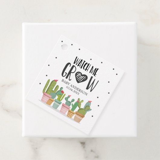 緑のサボテン多肉性フィエスタの成長を見る フェイバータグ (インサイチュ)