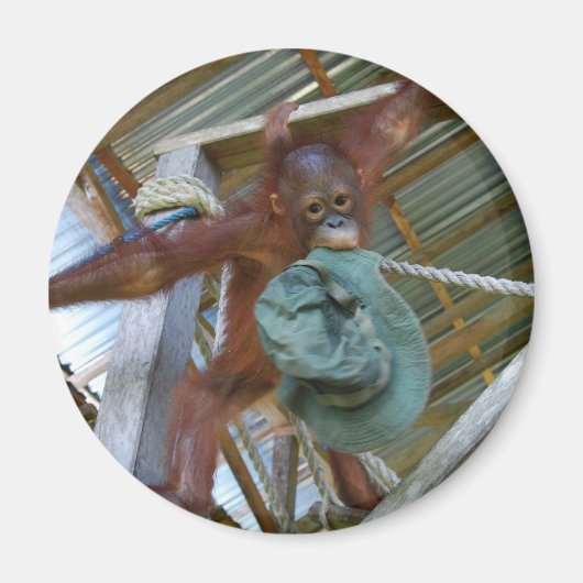 緑のサル マグネット (正面)