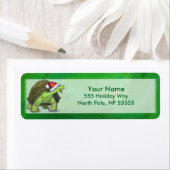 緑のサンタハットの亀 ラベル (インサイチュ)