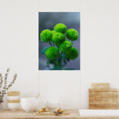 緑のサンティニ菊の花束 ポスター (キッチン)