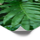 緑のシダの草葉のテクスチャ ポスター (角)