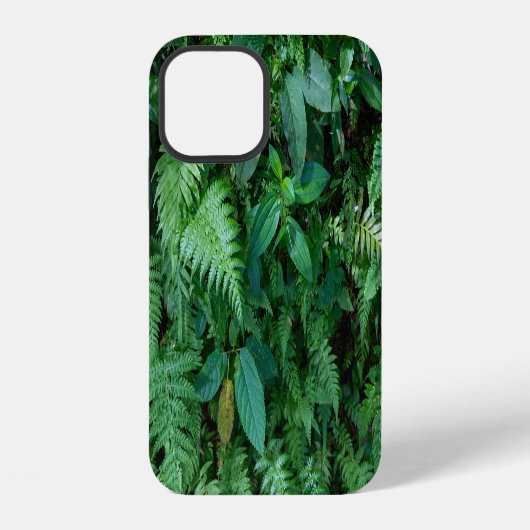 緑のシダの草葉のテクスチャ iPhoneケース (裏面)