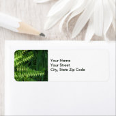 緑のシダの離れ自然写真 ラベル (インサイチュ)