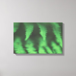 緑のシダ自然写真 キャンバスプリント