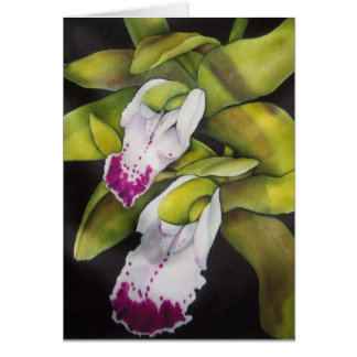 緑のシュンラン属の蘭