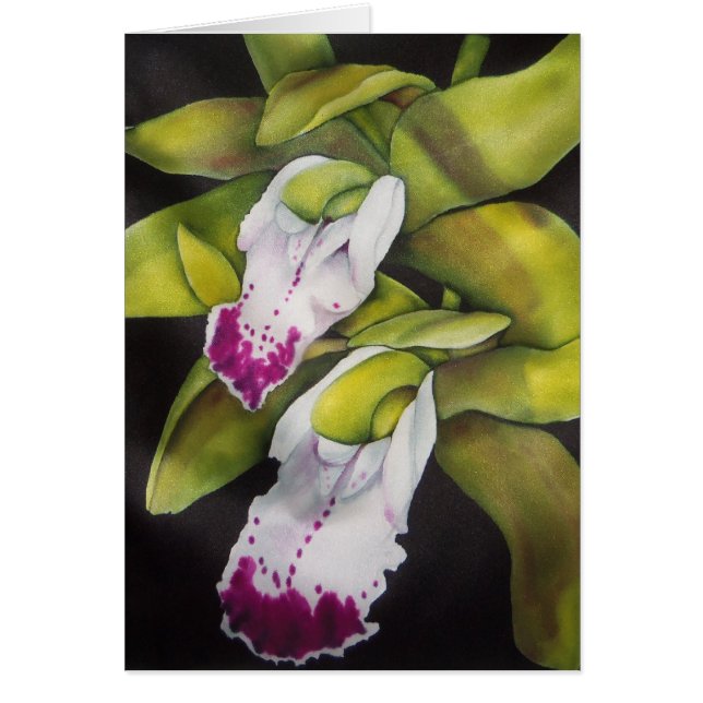 緑のシュンラン属の蘭 (正面)