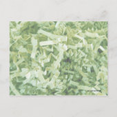 緑のシワシワに細切れの紙の写真 ポストカード (裏面)
