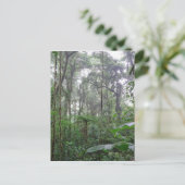 緑のジャングル ポストカード (スタンド正面)