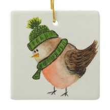 緑のスカーフと帽子の水の色ロビン