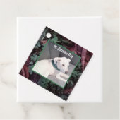 緑のスカーフのシャムロッククローバーを身につけたかわいい犬 フェイバータグ (インサイチュ)