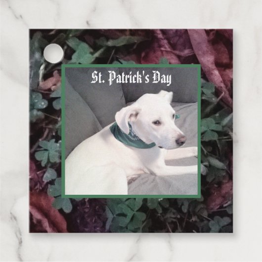 緑のスカーフのシャムロッククローバーを身につけたかわいい犬 フェイバータグ (正面)