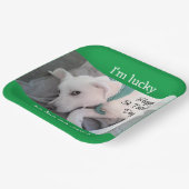 緑のスカーフを巻いたかわいいラッキーホワイトドッグ ペーパープレート (傾斜あり)