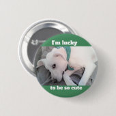 緑のスカーフを巻いたかわいいラッキーホワイトドッグ 缶バッジ (正面&裏面)