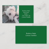 緑のスカーフを巻くかわいい白い子犬 名刺 (正面/裏面)
