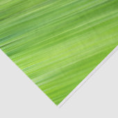 緑のストリップのパターン 薄葉紙 (詳細)