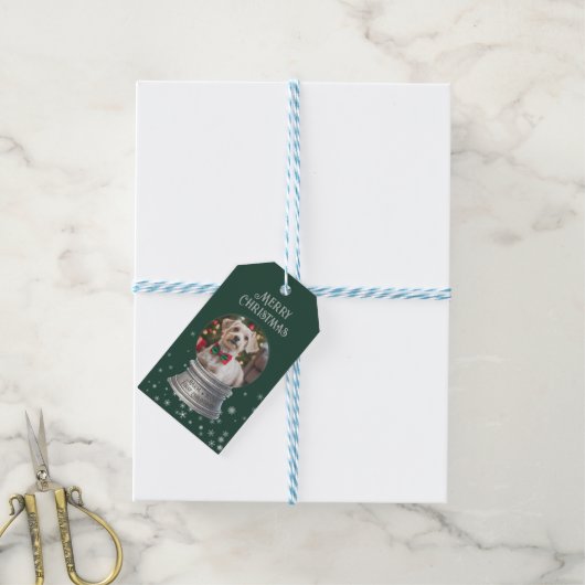 緑のスノーグローブスノーフレーク写真 ギフトタグ (より糸付き)