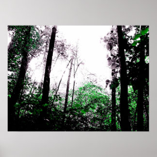 緑のスプラッシュ ポスター