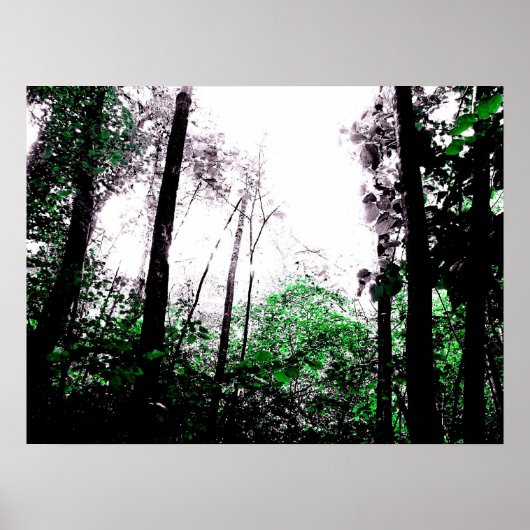 緑のスプラッシュ ポスター (正面)