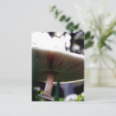 緑のスポレッドLepiotaはがき ポストカード (スタンド正面)