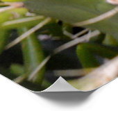 「緑のセンティネルたち：サボテンの厄介な威厳 ポスター (角)