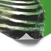 緑のゼブラ – ポスター (角)