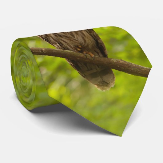緑のタイに立つこと ネクタイ (ロール)