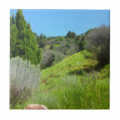 緑のタイルの表示 タイル (正面)