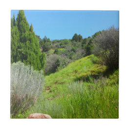 緑のタイルの表示 タイル