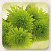 緑のタム コースター (正面)