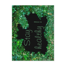 緑のツタで健康を保つ