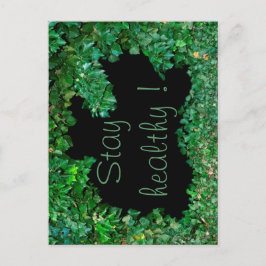 緑のツタで健康を保つ ポストカード