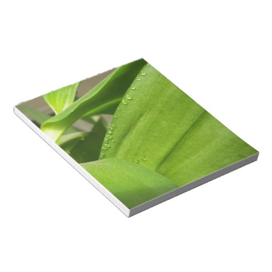 緑のデンドロビウム蘭の植物のクローズアップ ノートパッド (アングル)