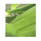 緑のデンドロビウム蘭の植物のクローズアップ ノートパッド (正面)