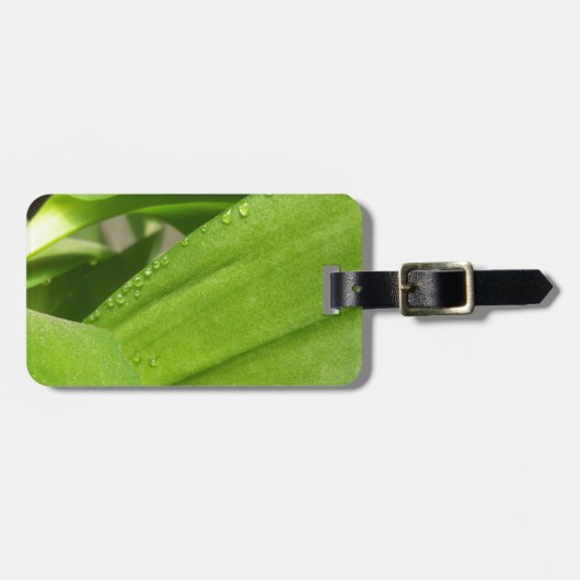 緑のデンドロビウム蘭の植物のクローズアップ ラゲッジタグ (正面横)