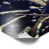 緑のトカゲ写真 フォトプリント            (角)