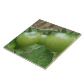 緑のトマトタイル タイル (側面)