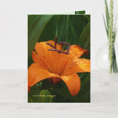 緑のトラ カード (正面)